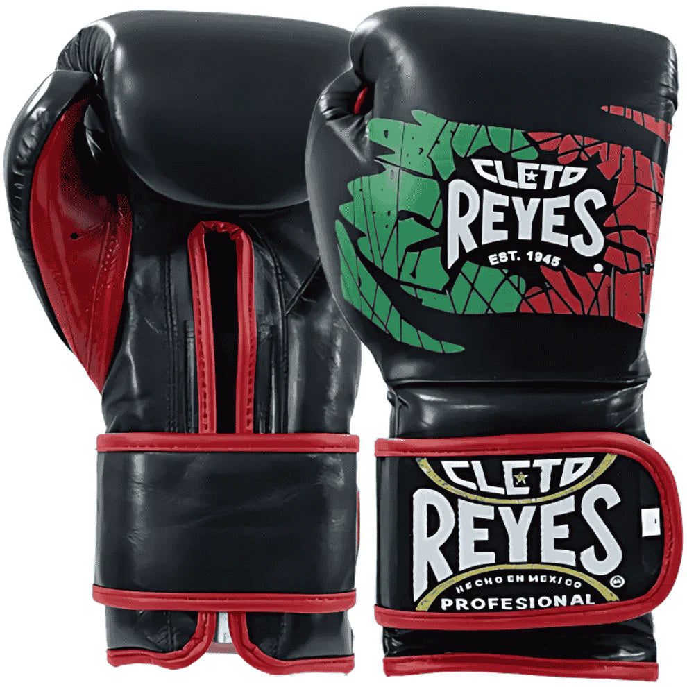 Cleto Reyes Mexican Flag Training Boxing Gloves