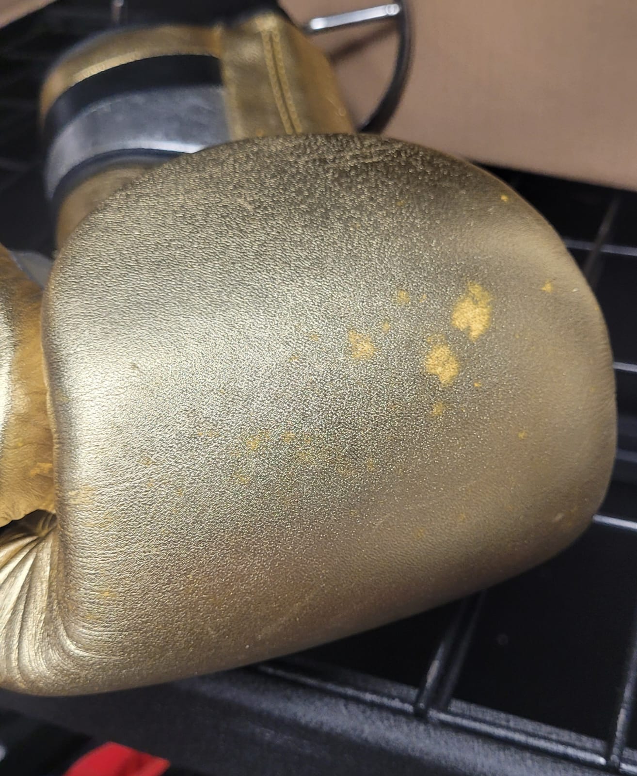 Adispeed 501 with Strap -Metalica Gold
