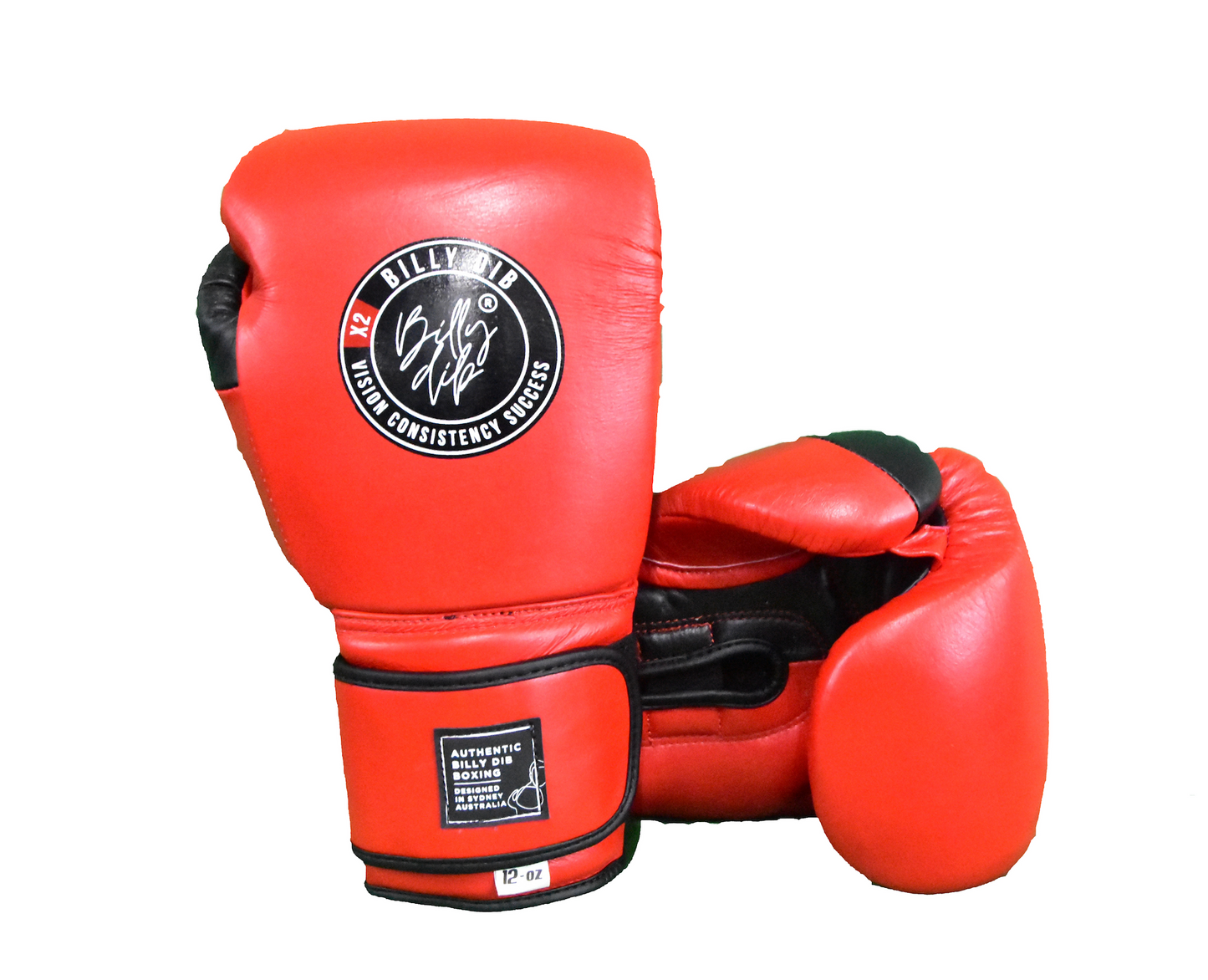 Billy Dib Boxing Gloves - Red